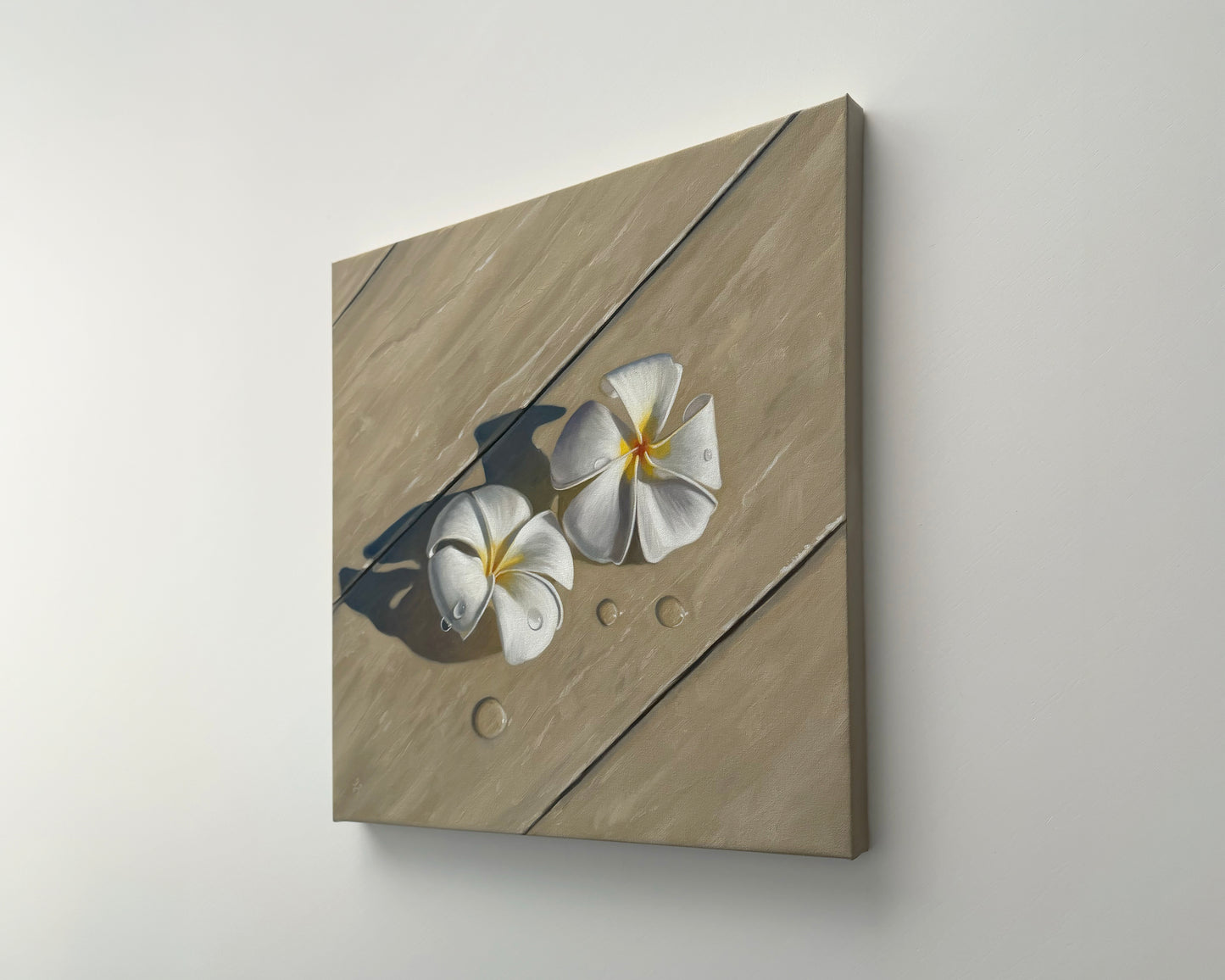 Napili Shores Plumerias • 16 x 16