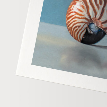 Nautilus Shell Fine Art Print by Lauren Pretorius: a nautilus shell resting on a light, reflective surface with dramatic lighting and a blue background.