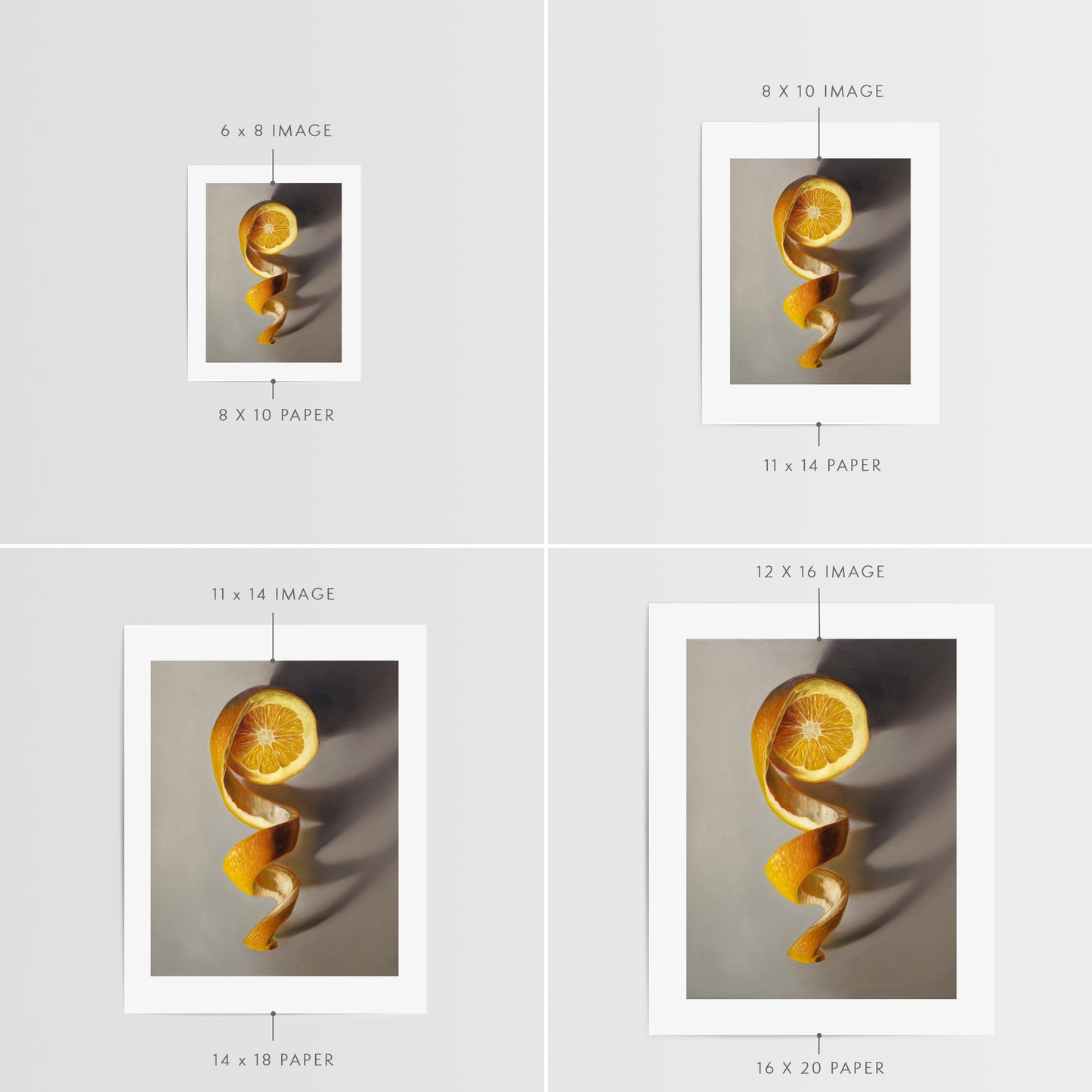 Orange Twist Fine Art Print by Lauren Pretorius: a freshly sliced orange with its peeling spiraling in a downward fashion with dramatic side-lighting creating interesting cast shadows.