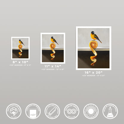 Three fine art prints of an oriole perched on an orange peel, shown in 8x10, 11x14, and 16x20 sizes.