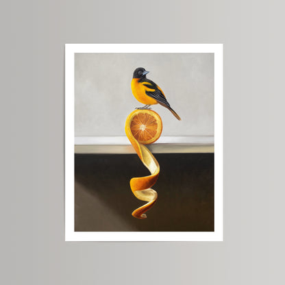 Vibrant oil painting print of an orange and black oriole perched on a sliced orange with a long, curling peel.