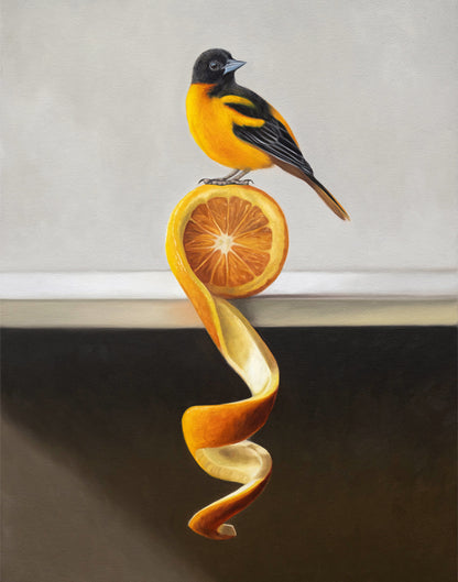 Vibrant oil painting of an orange and black oriole perched on a sliced orange with a long, twisting peel.