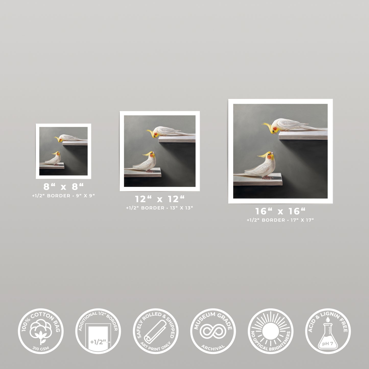 Three fine art prints of cockatiels on a shelf, showcasing 8x8, 12x12, and 16x16 inch sizes with white borders.