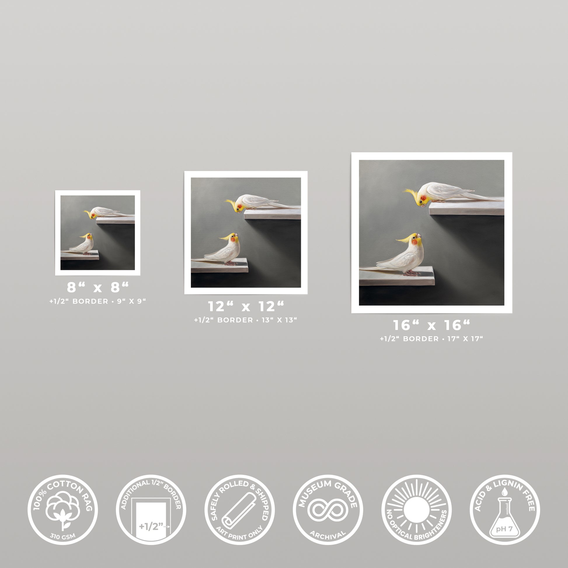 Three fine art prints of cockatiels on a shelf, showcasing 8x8, 12x12, and 16x16 inch sizes with white borders.