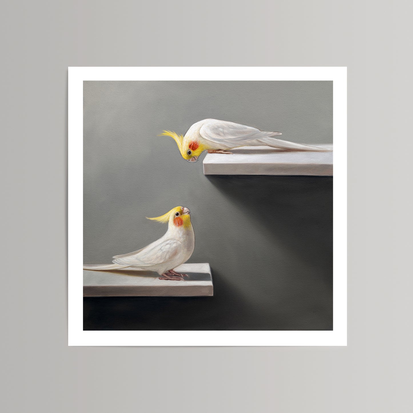 Fine art print featuring two white cockatiels with yellow crests on white ledges against a gray background.