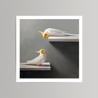 Fine art print featuring two white cockatiels with yellow crests on white ledges against a gray background.