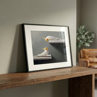 Framed fine art print of two white and yellow cockatiels on shelves, displayed on a wooden surface.