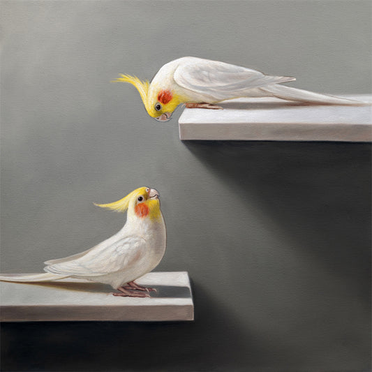 Fine art print of two white cockatiels with yellow and orange cheeks, one perched above the other.