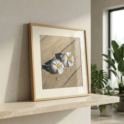 Framed fine art print of two white plumeria flowers with yellow centers and water drops on light wood.