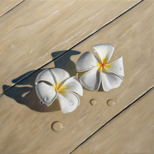 Fine art print of two white plumeria flowers with yellow centers and water droplets on light wood.