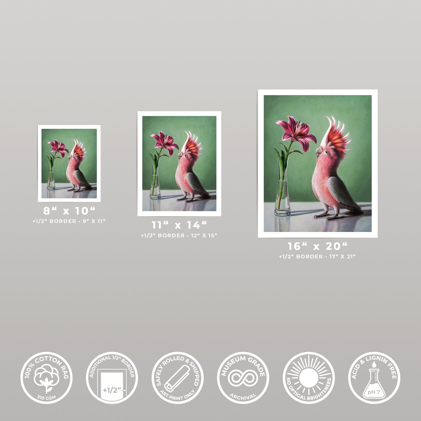 Three fine art prints of a pink cockatoo and lilies, displayed in varying sizes against a light green background.