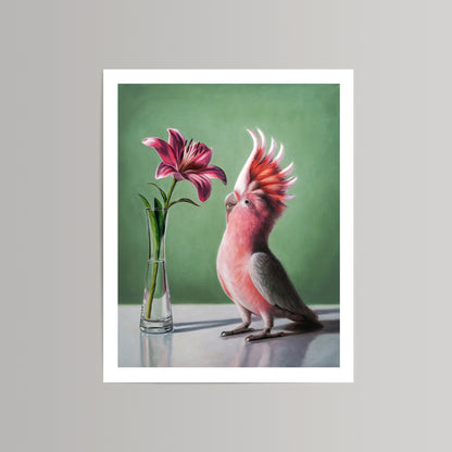 Fine art print of a pink cockatoo admiring a deep pink lily in a clear vase against a green background.