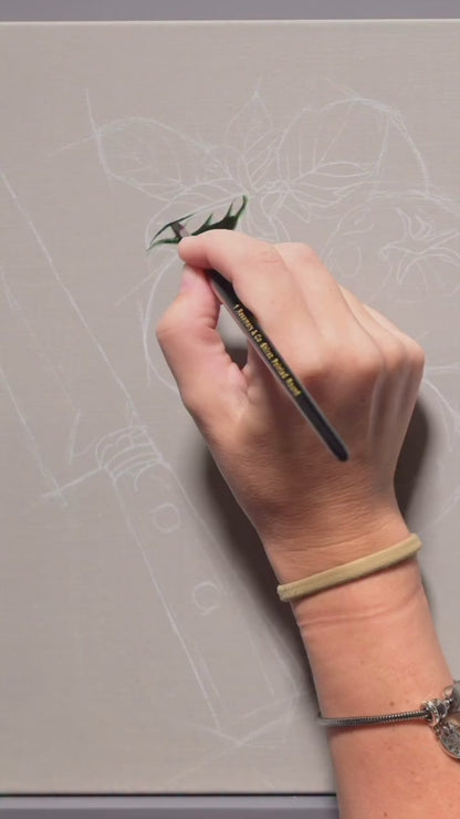 Tomato & Basil | 12" x 12" Original Oil Painting