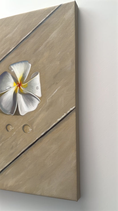 Napili Shores Plumerias • 16 x 16