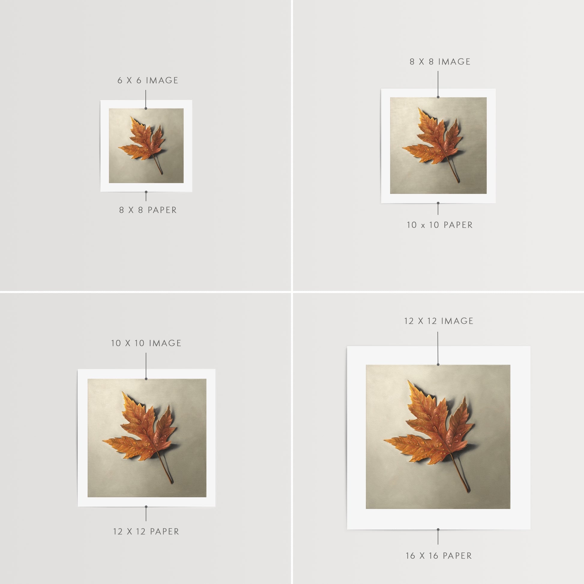 Raindrop Maple Leaf Fine Art Print by Lauren Pretorius: a raindrop covered maple leaf in its Autumn colors resting on a light grey surface. I do love the warmth of summer and those bright sunny days, but there is something special about the cooler softly-raining days of Autumn where you cozy up with a book and nice cup of coffee.