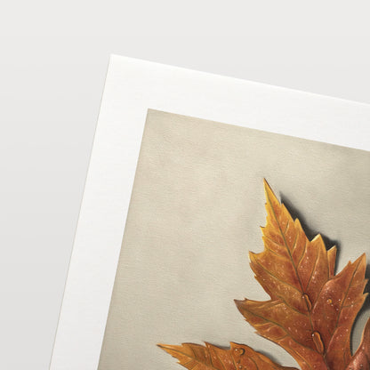 Raindrop Maple Leaf Fine Art Print by Lauren Pretorius: a raindrop covered maple leaf in its Autumn colors resting on a light grey surface. I do love the warmth of summer and those bright sunny days, but there is something special about the cooler softly-raining days of Autumn where you cozy up with a book and nice cup of coffee.
