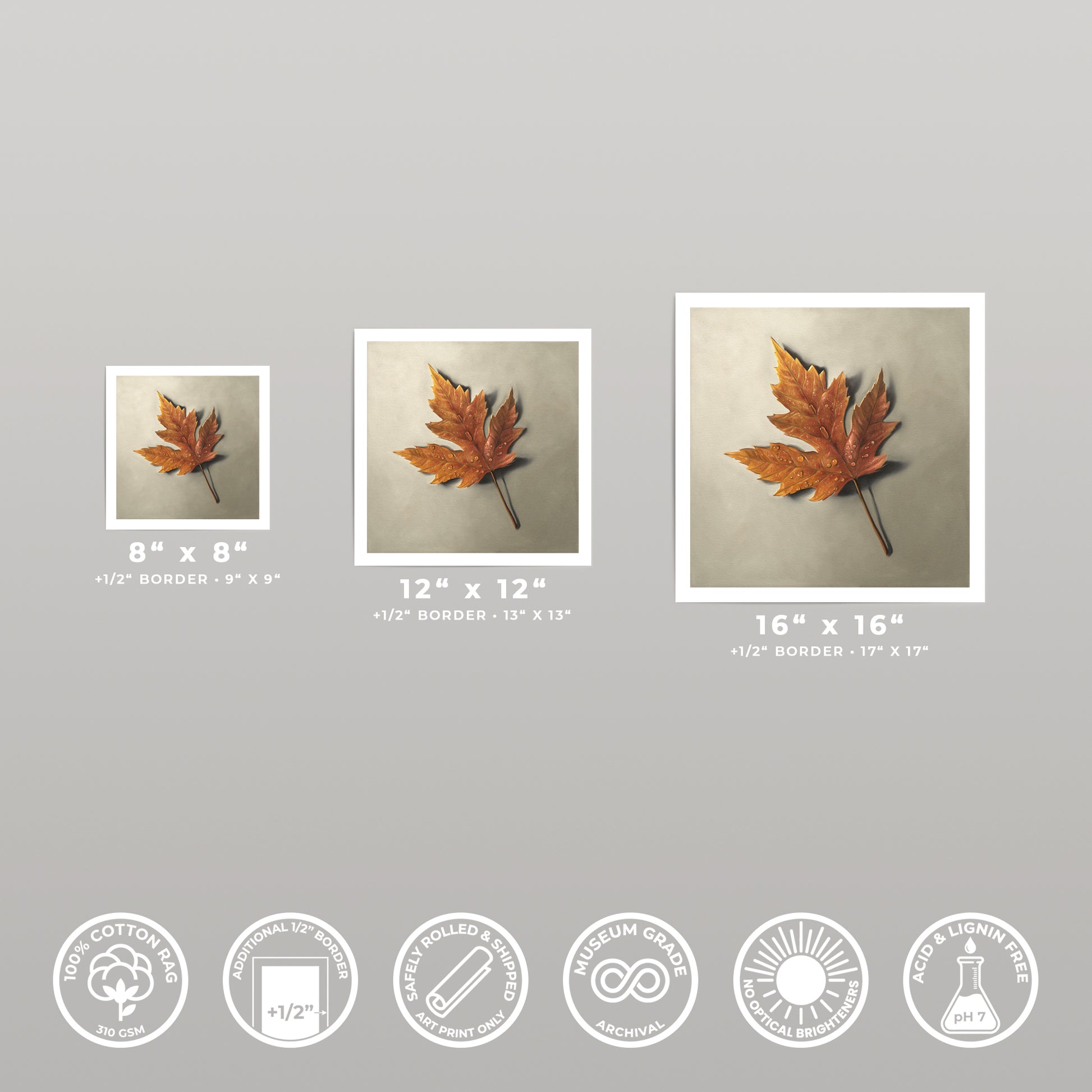 Three square art prints of a single orange maple leaf with raindrops, shown in 8x8, 12x12, and 16x16 sizes.