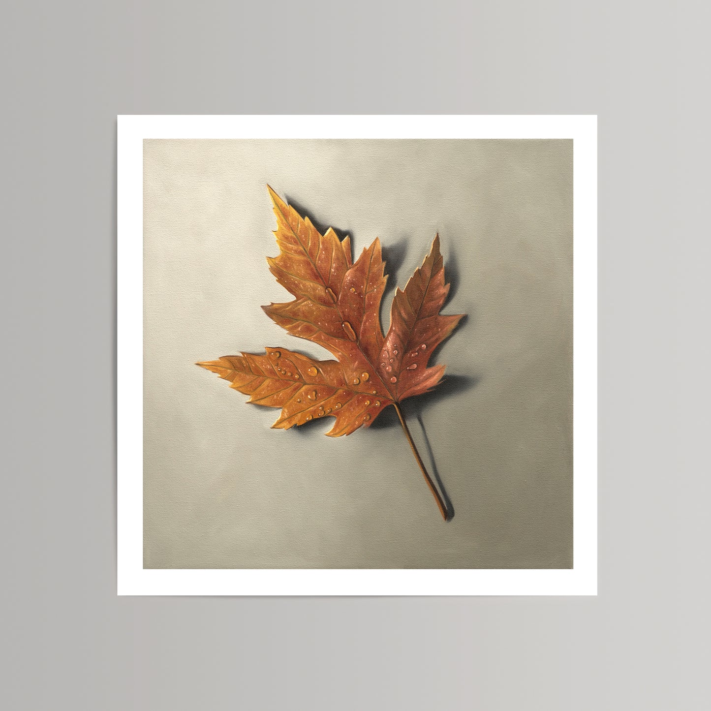 Fine art print of a vibrant orange maple leaf with dewdrops on a light gray background.