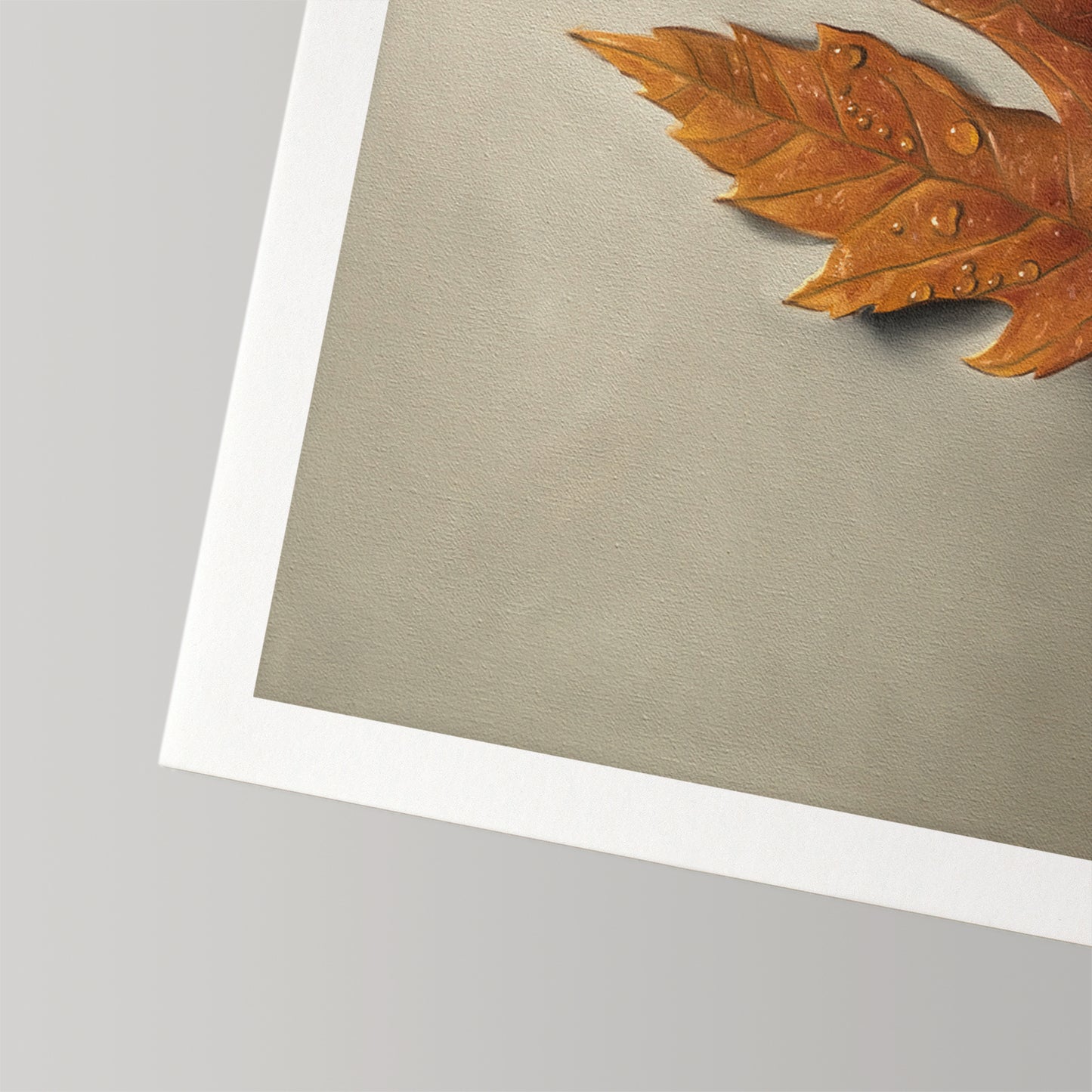 Fine art print of a detailed orange maple leaf with raindrops on a neutral background, featuring a white border.