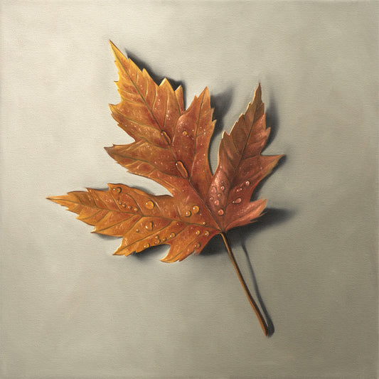 Fine art print of a single orange maple leaf with realistic raindrops on a light gray background.