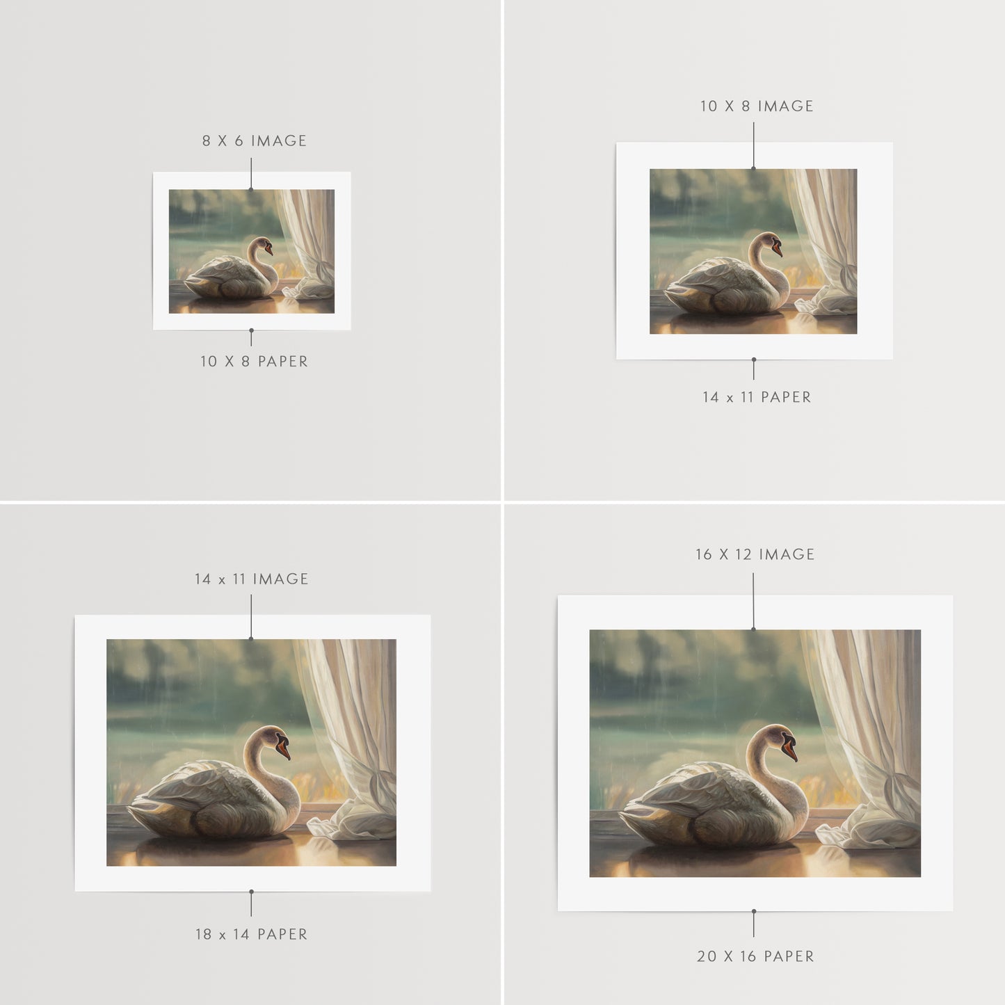 Solitary Swan Fine Art Print by Lauren Pretorius: a swan looking out from a window, with an archival pigment ink on 230gsm matte archival fine art paper.