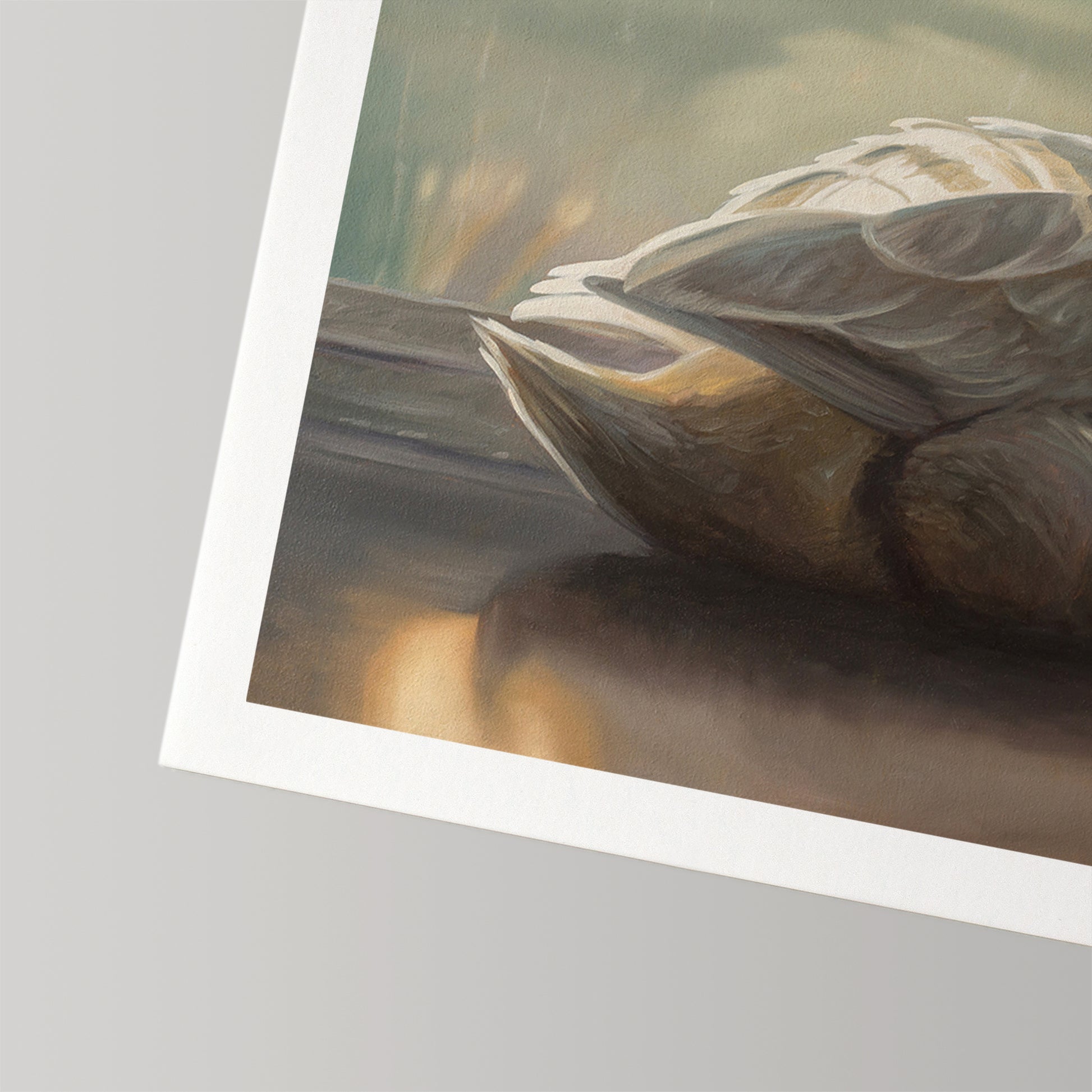 Close-up of "Solitary Swan" fine art print on cotton rag paper, showing textured brushstrokes and a white border.