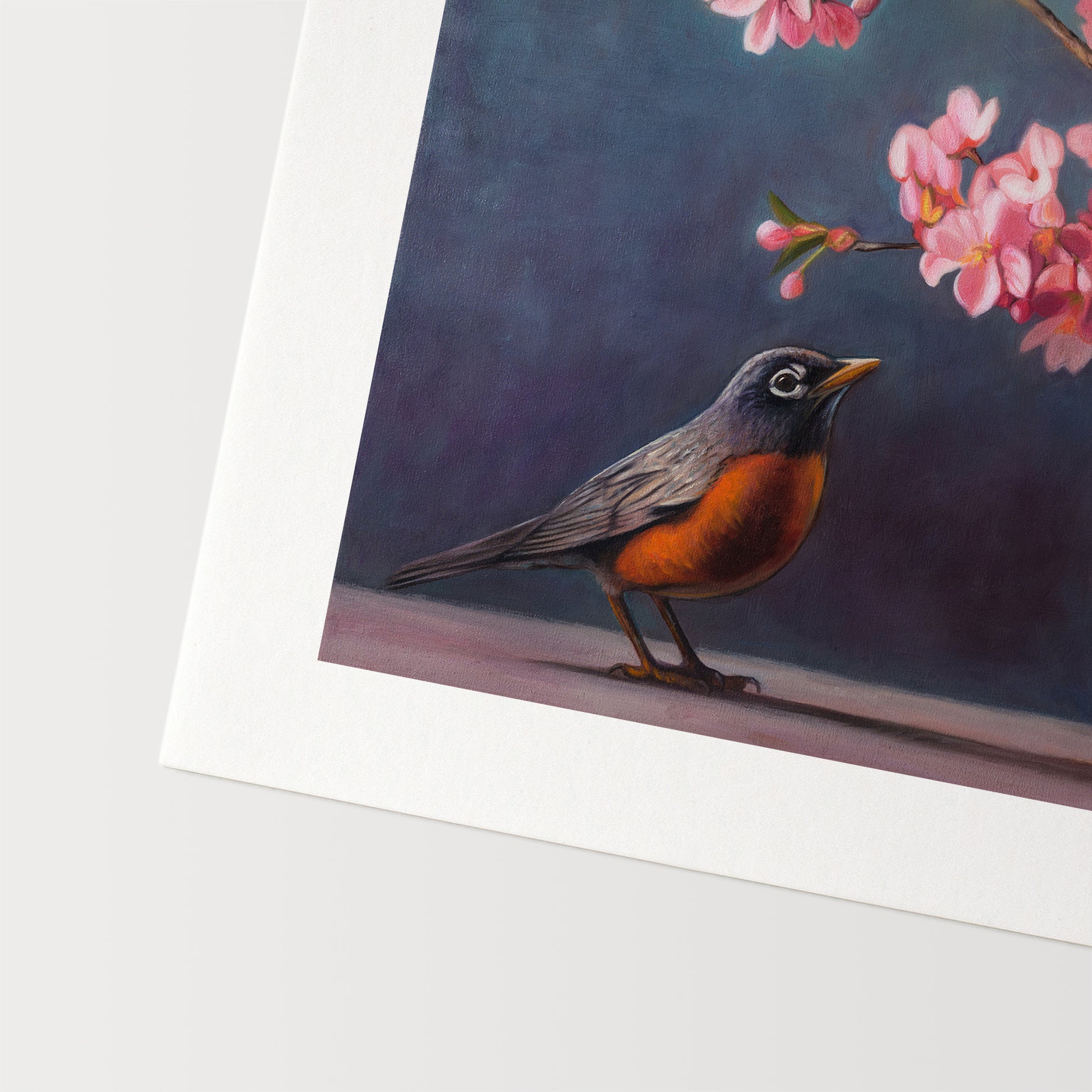 Spring Robin Fine Art Print by Lauren Pretorius: a robin perched next to a vase with pink cherry blossoms against a dark background.