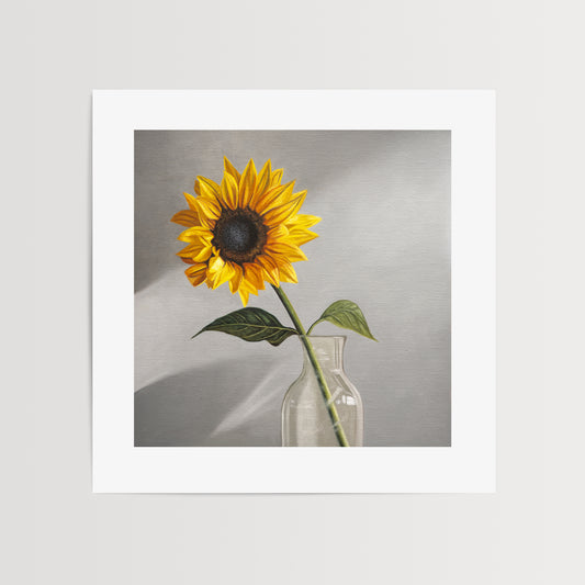 Sunflower Fine Art Print by Lauren Pretorius: a sunflower in a clear glass vase with a neutral grey backdrop.