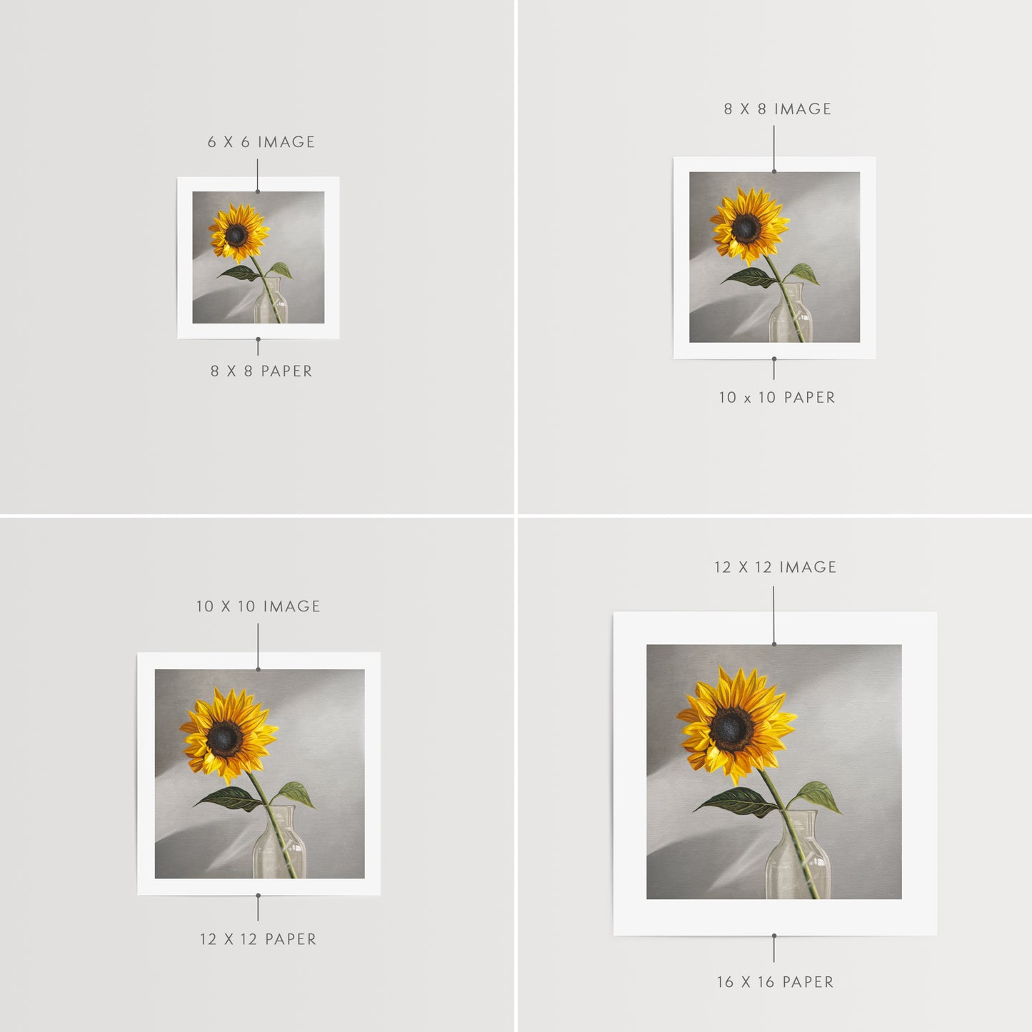 Sunflower Fine Art Print by Lauren Pretorius: a sunflower in a clear glass vase with a neutral grey backdrop.