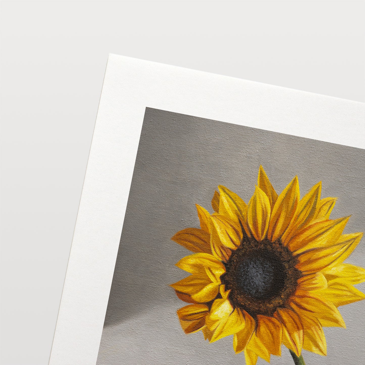 Sunflower Fine Art Print by Lauren Pretorius: a sunflower in a clear glass vase with a neutral grey backdrop.