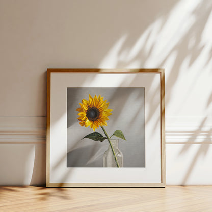Sunflower Fine Art Print by Lauren Pretorius: a sunflower in a clear glass vase with a neutral grey backdrop.