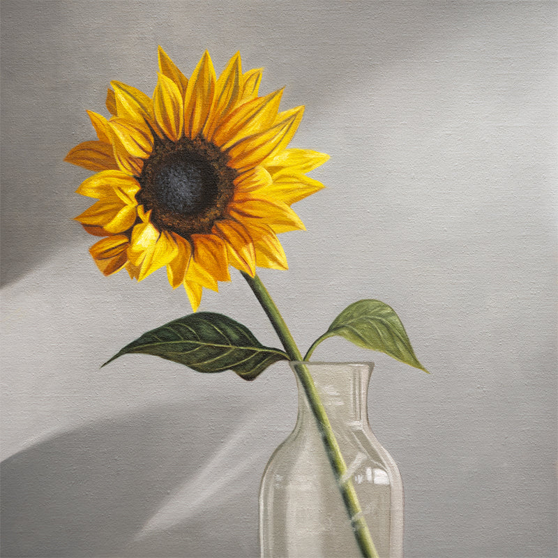 Sunflower Fine Art Print by Lauren Pretorius: a sunflower in a clear glass vase with a neutral grey backdrop.