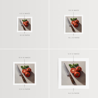 Tomato & Basil Fine Art Print by Lauren Pretorius: a knife next to three tomatoes and basil leaves on a light surface