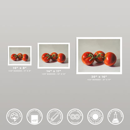 Three fine art prints of red tomatoes, varying sizes, on white cotton rag paper with borders.