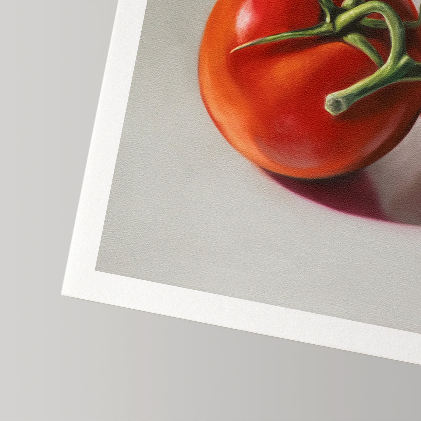 Vibrant red tomato art print on textured white cotton rag paper with a clean white border.