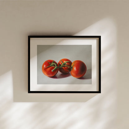 Framed fine art print of three vibrant red tomatoes on a vine, with a white border.