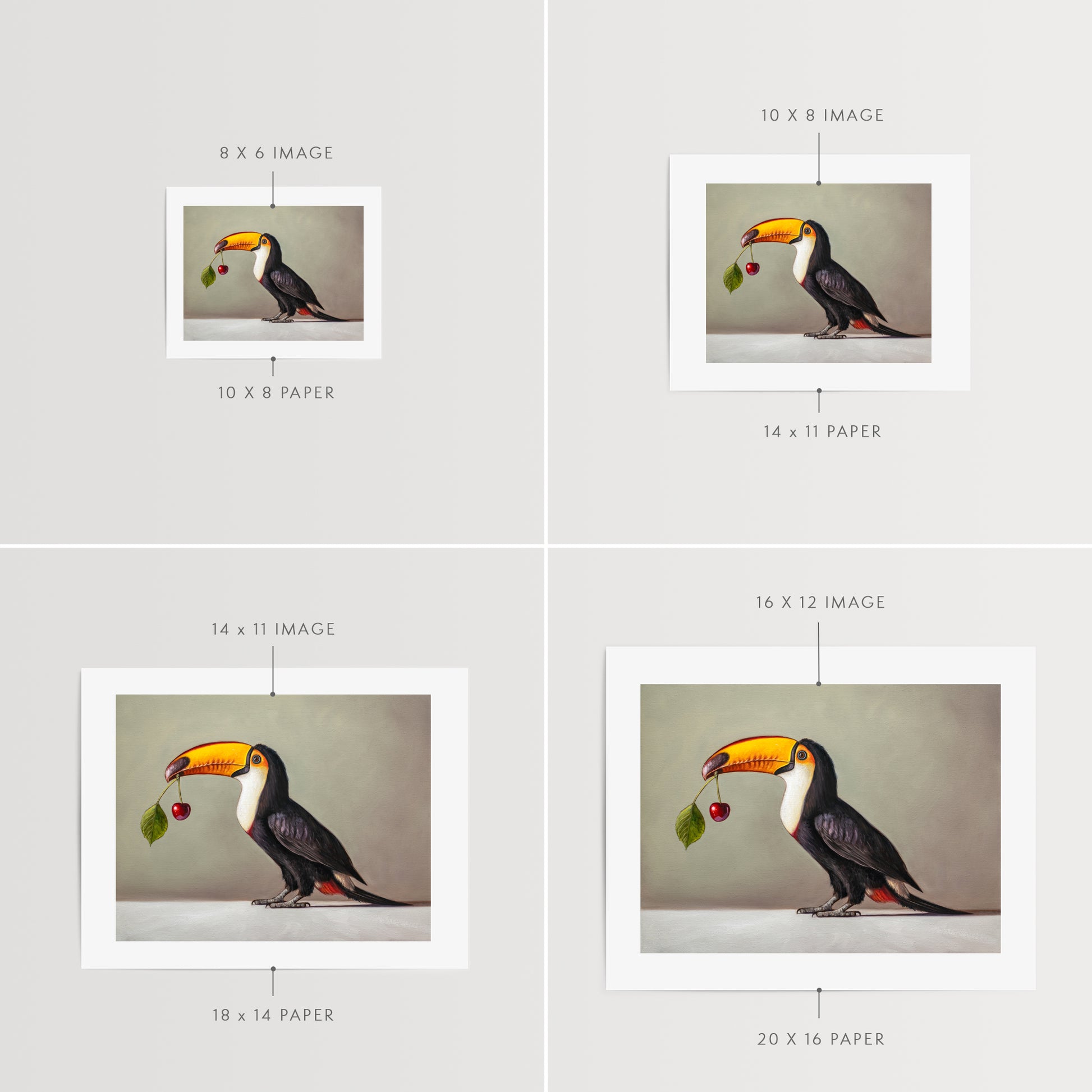 Toucan & Cherry Fine Art Print by Lauren Pretorius: a toucan with a cherry, black, white, and red colors with a gray background.