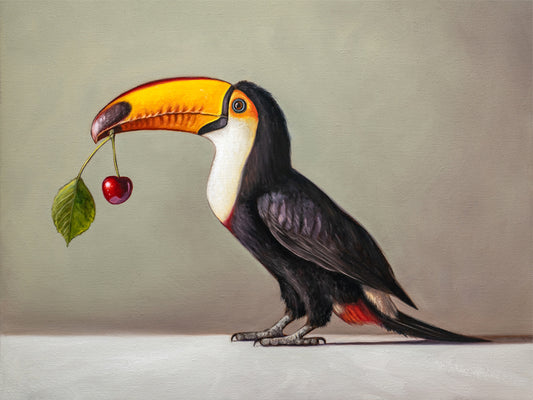 Toucan & Cherry Fine Art Print by Lauren Pretorius: a toucan with a cherry, black, white, and red colors with a gray background.