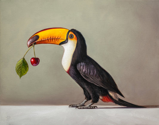 Toucan & Cherry