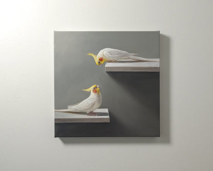 Curious Cockatiels | 12" x 12" Original Oil Painting