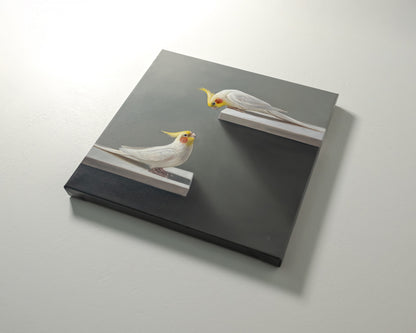 Curious Cockatiels | 12" x 12" Original Oil Painting