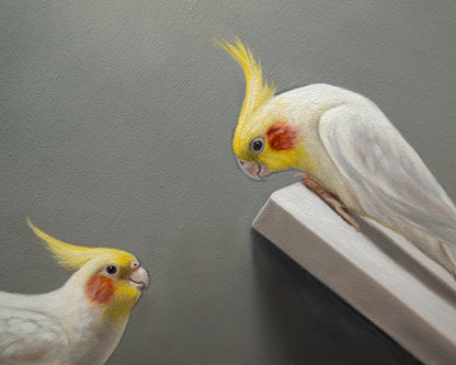 Curious Cockatiels | 12" x 12" Original Oil Painting