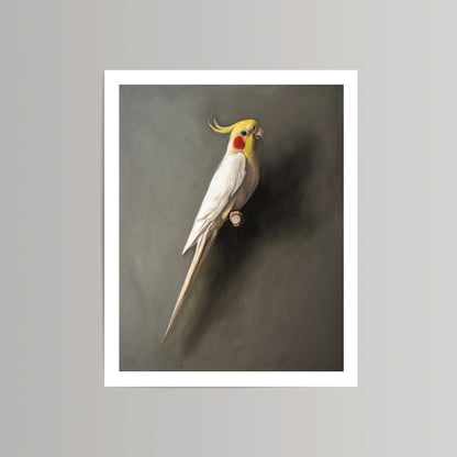 Fine art print of a white cockatiel with yellow crest and red cheek patches, on a dark gray background.