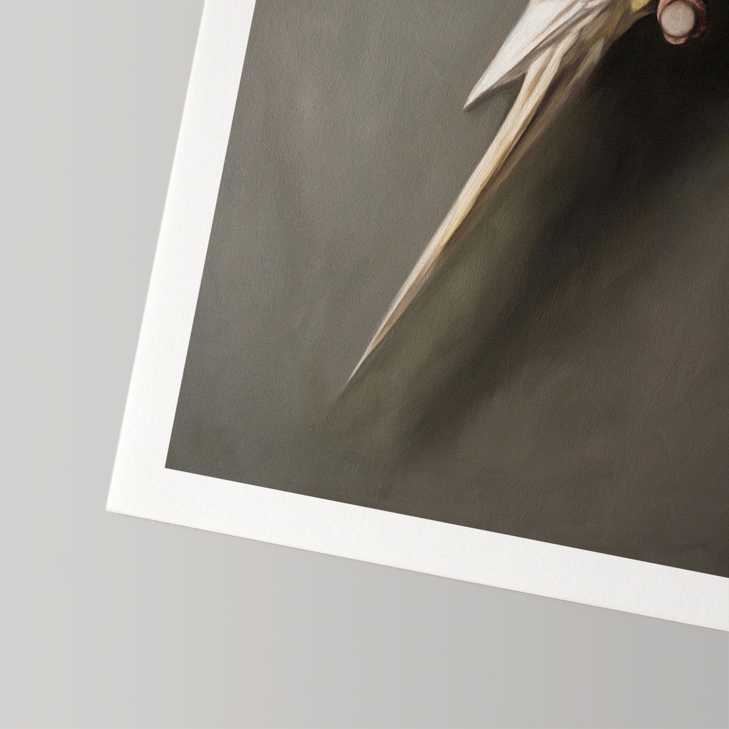Fine art print of a white cockatiel on dark background with a white border.
