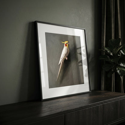 Framed fine art print of a white cockatiel with yellow crest, displayed on a dark wood cabinet.