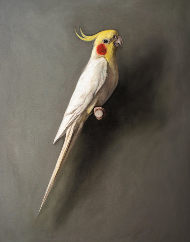 Fine art print of a white cockatiel with yellow crest and orange cheek patches, perched on a branch against a dark gray background.