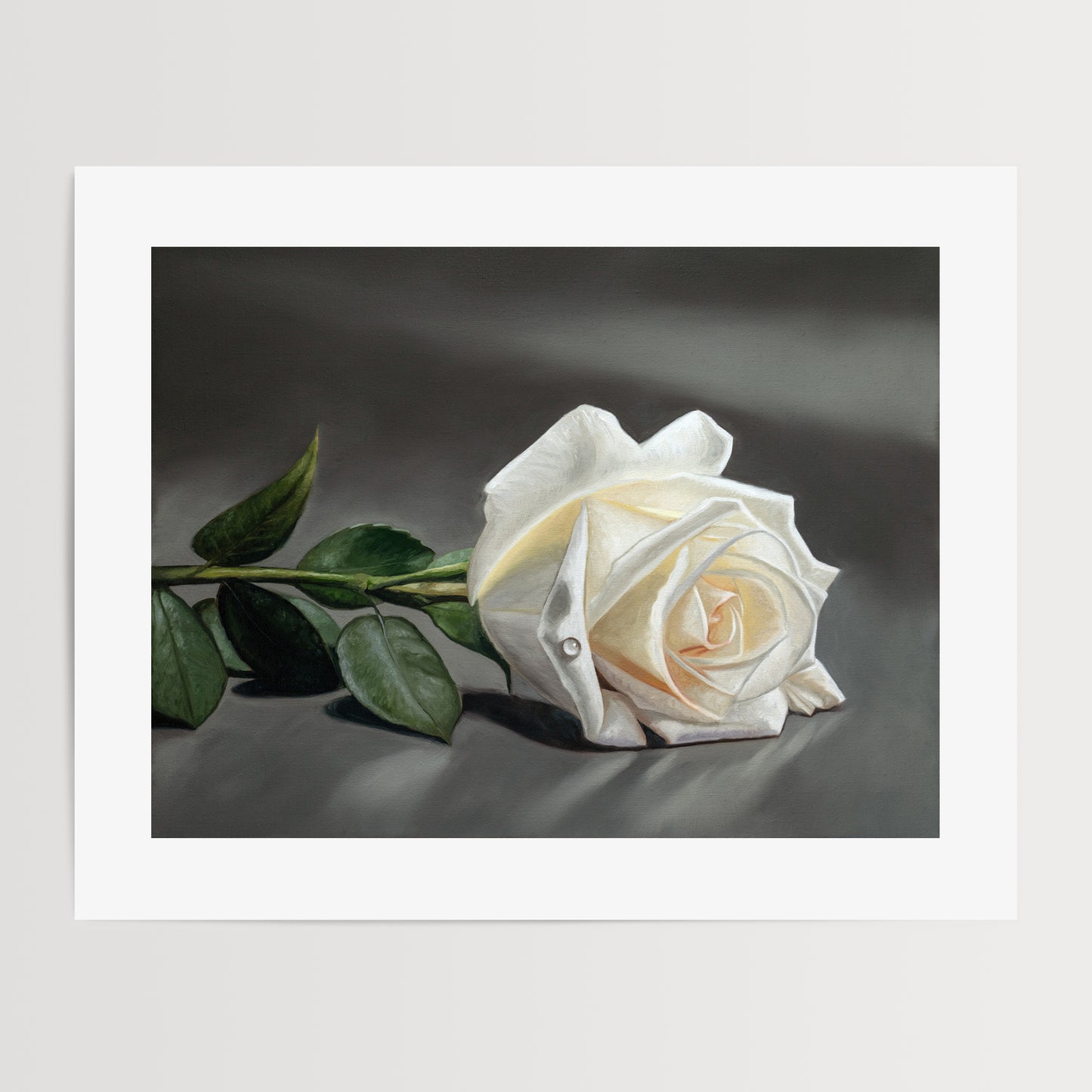 White Rose Fine Art Print by Lauren Pretorius: a white rose laying on its side on a dark grey surface.